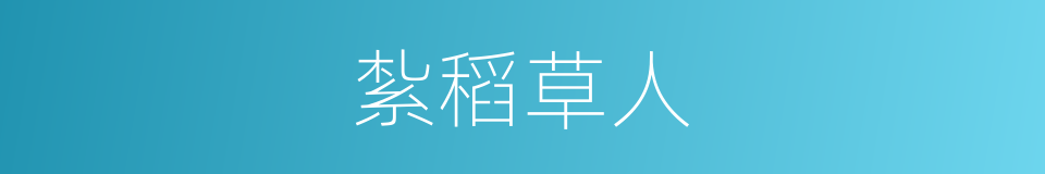 紮稻草人的同義詞