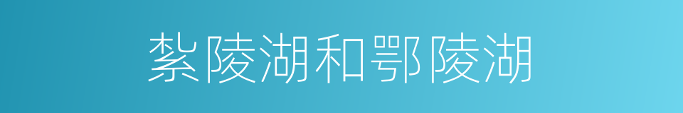紮陵湖和鄂陵湖的同義詞