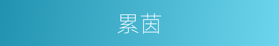 累茵的意思