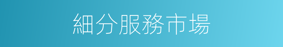 細分服務市場的同義詞