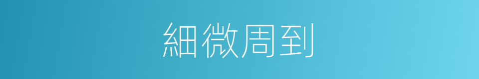 細微周到的同義詞