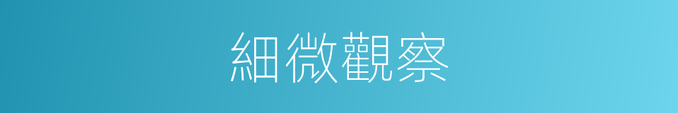 細微觀察的同義詞
