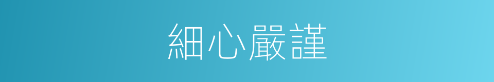 細心嚴謹的意思