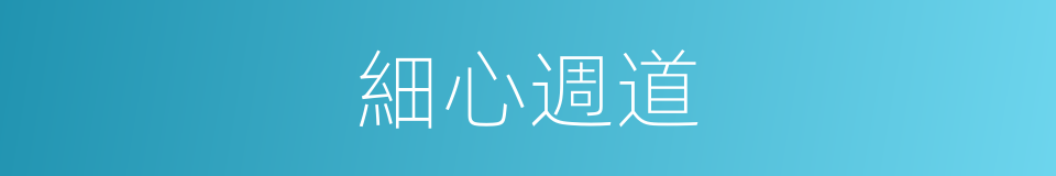 細心週道的同義詞