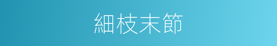 細枝末節的意思