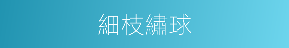 細枝繡球的同義詞