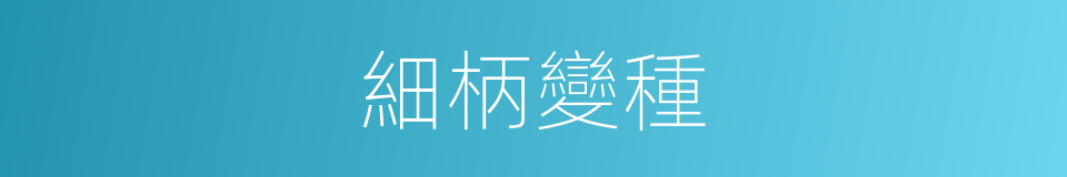 細柄變種的同義詞