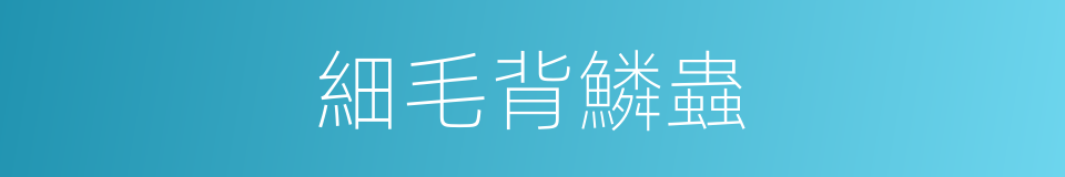 細毛背鱗蟲的同義詞
