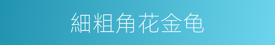 細粗角花金龟的同義詞