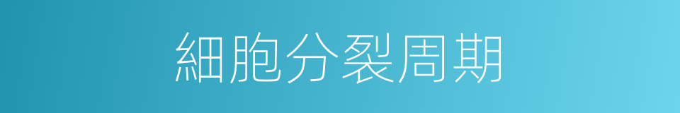 細胞分裂周期的同義詞