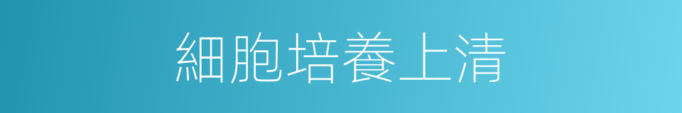 細胞培養上清的同義詞