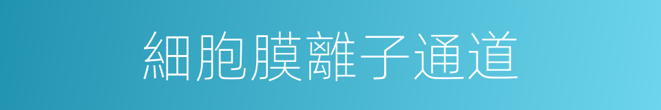 細胞膜離子通道的同義詞
