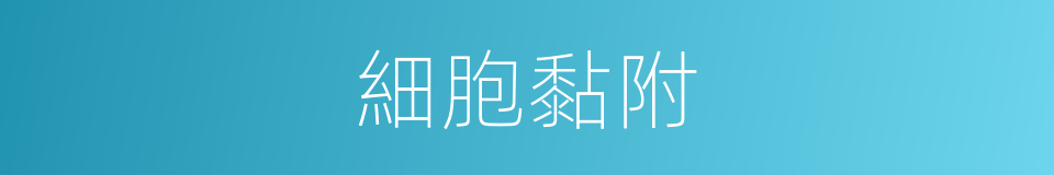 細胞黏附的同義詞