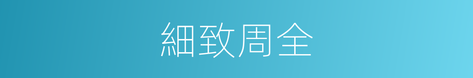 細致周全的同義詞