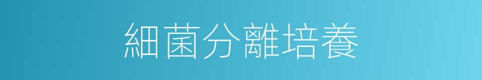 細菌分離培養的同義詞
