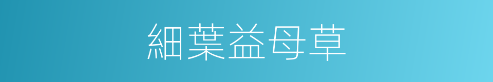 細葉益母草的同義詞