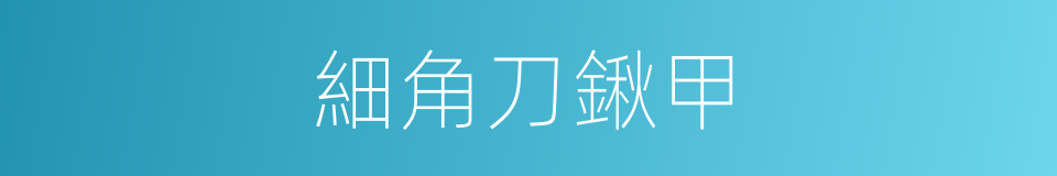 細角刀鍬甲的同義詞