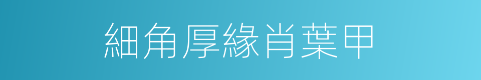 細角厚緣肖葉甲的同義詞