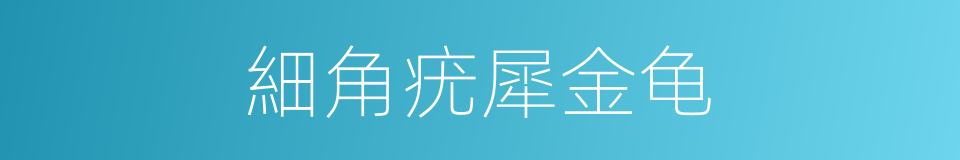 細角疣犀金龟的同義詞