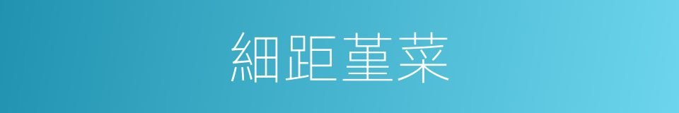 細距堇菜的同義詞