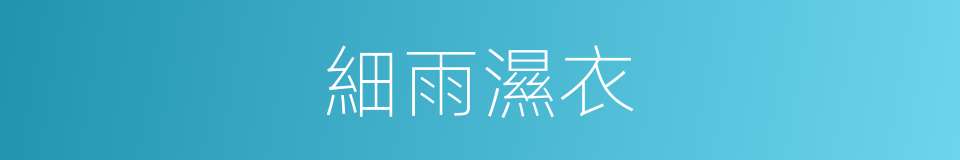 細雨濕衣的同義詞