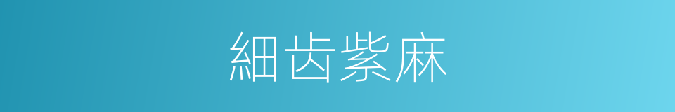 細齿紫麻的同義詞