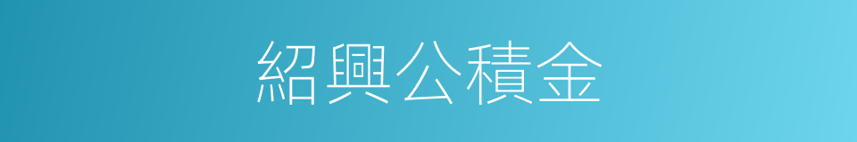 紹興公積金的同義詞