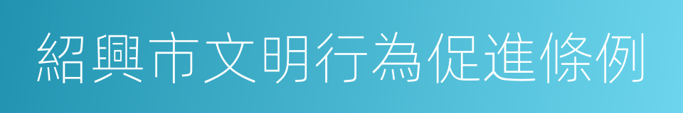 紹興市文明行為促進條例的同義詞