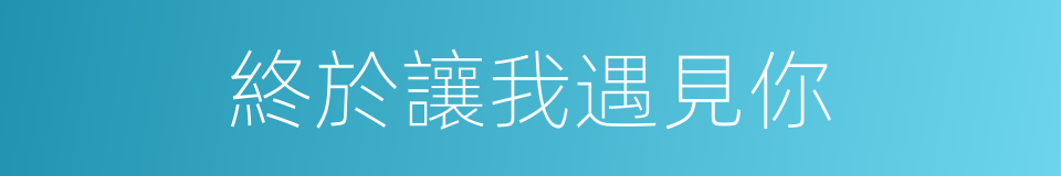 終於讓我遇見你的同義詞
