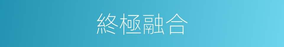 終極融合的同義詞