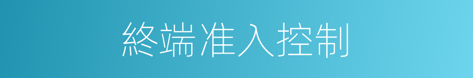終端准入控制的同義詞