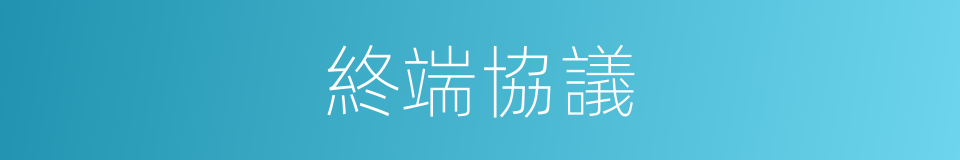 終端協議的同義詞