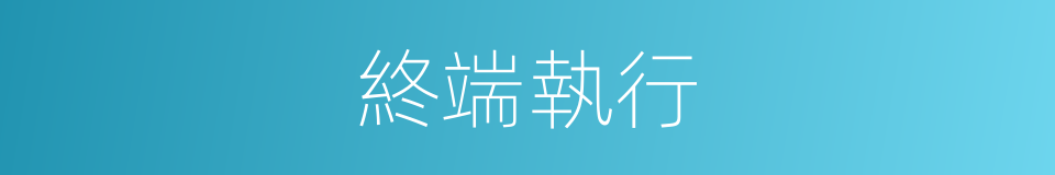 終端執行的同義詞