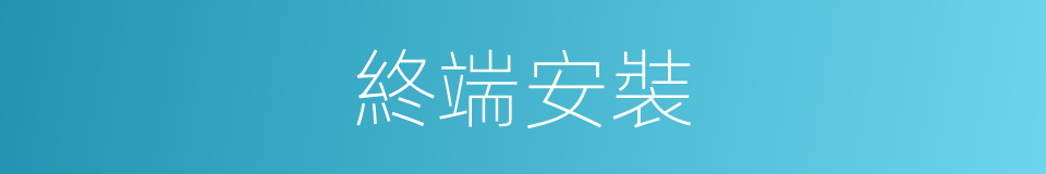 終端安裝的同義詞