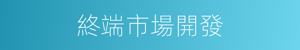 終端市場開發的同義詞