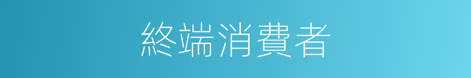 終端消費者的同義詞