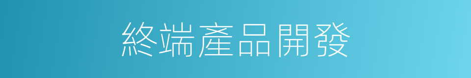 終端產品開發的同義詞
