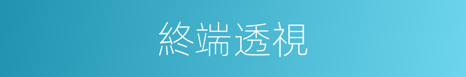 終端透視的同義詞