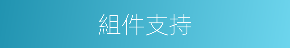 組件支持的同義詞
