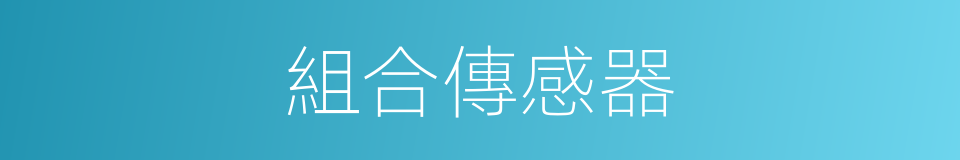 組合傳感器的同義詞