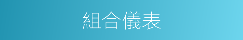 組合儀表的同義詞