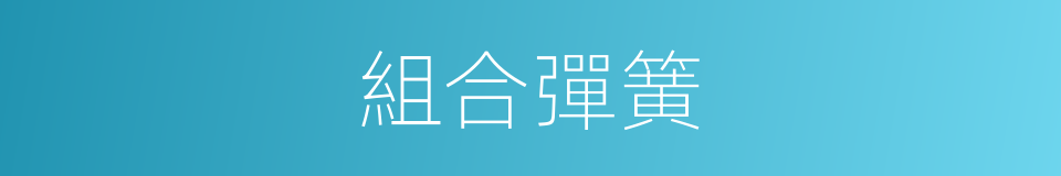 組合彈簧的同義詞