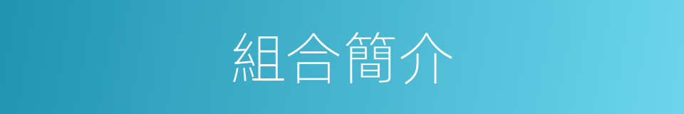 組合簡介的同義詞