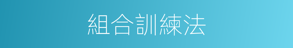 組合訓練法的同義詞