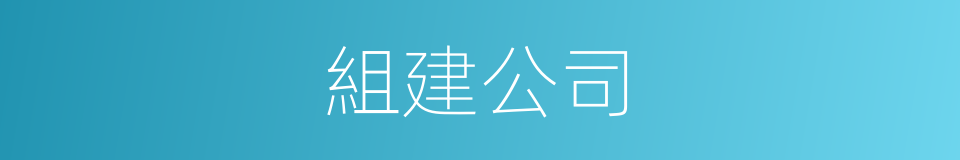 組建公司的同義詞