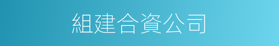組建合資公司的同義詞