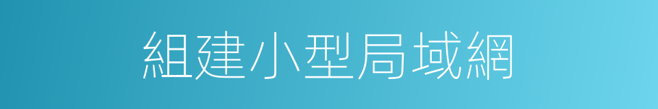 組建小型局域網的同義詞