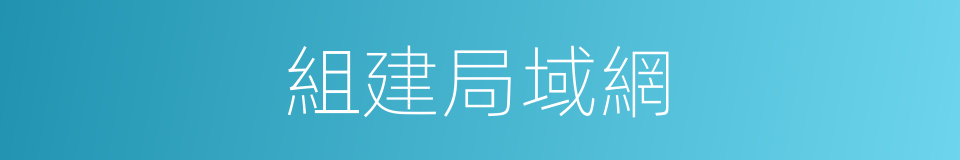 組建局域網的同義詞