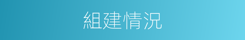 組建情況的同義詞