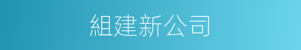 組建新公司的同義詞